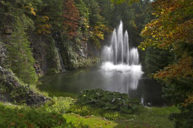 Sparkling jets of a fountain.