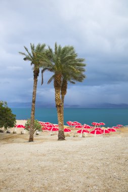 thunder-fırtınada ölü deniz plaj