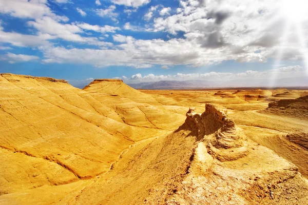 Gele woestijn. — Stockfoto