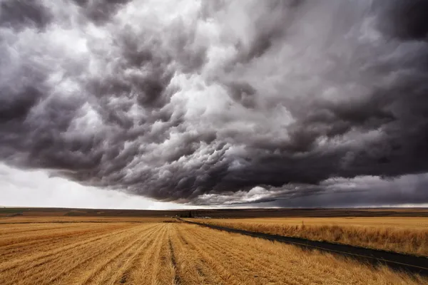 Frente a la tormenta . — Foto de Stock