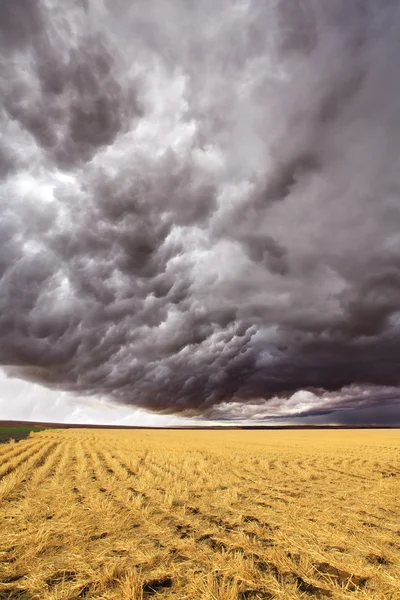 Απίθανες thundercloud — Φωτογραφία Αρχείου