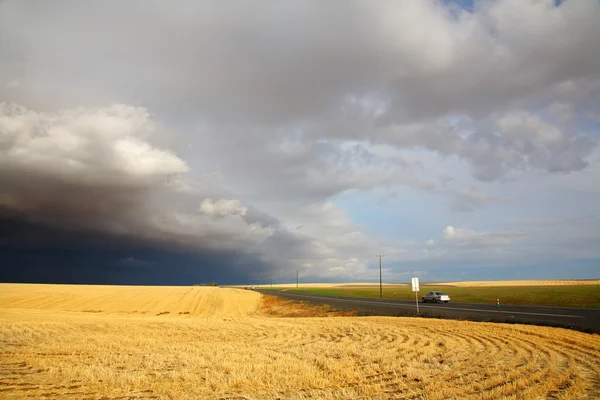 Kırsal kesimdeki gök gürültülü fırtına — Stok fotoğraf