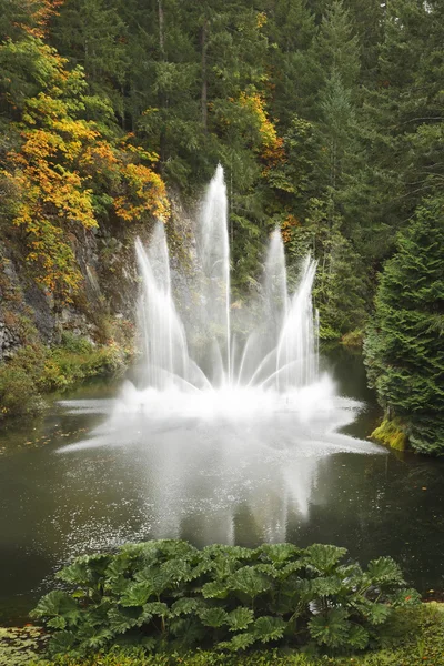 Wspaniały taniec fontanna — Zdjęcie stockowe