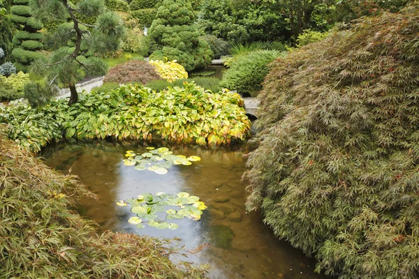 Un arroyo, pequeña isla con hierba y arbustos —  Fotos de Stock