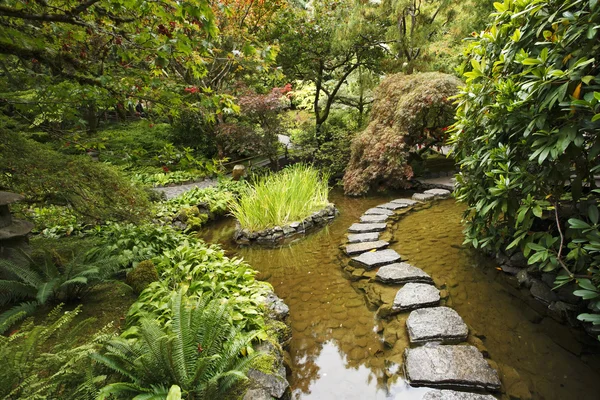 Un ruisseau et un sentier décoratif de pierres — Photo