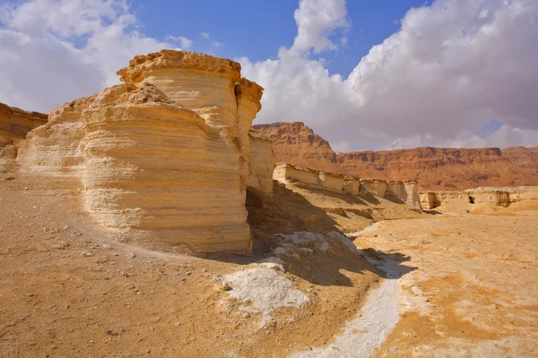 Malowniczym kanionie na pustyni w pobliżu Morza Martwego — Zdjęcie stockowe