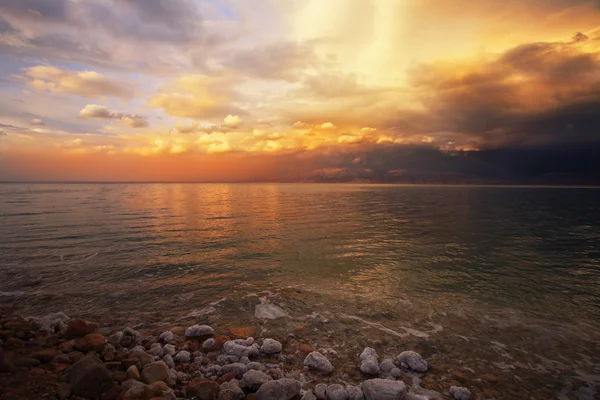 Döda havets kust — Stockfoto