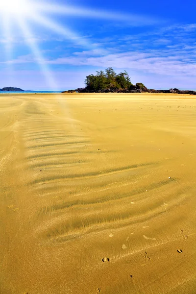Klein eiland in de buurt strand op het eiland vancouver — Stockfoto