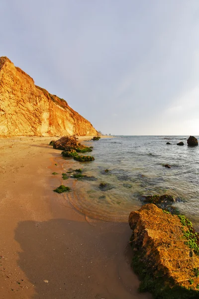 Mousse verte sur d'énormes pierres d'une plage sur la mer — Photo