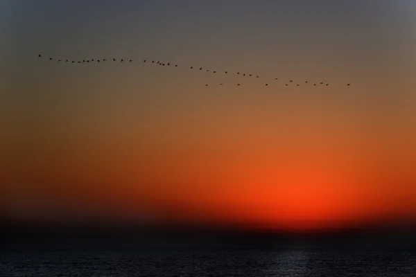 Pôr do sol acima do mar Mediterrâneo . — Fotografia de Stock
