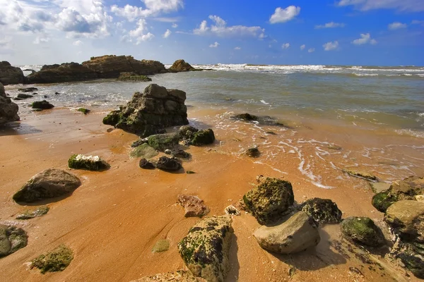 Влажный песок — стоковое фото