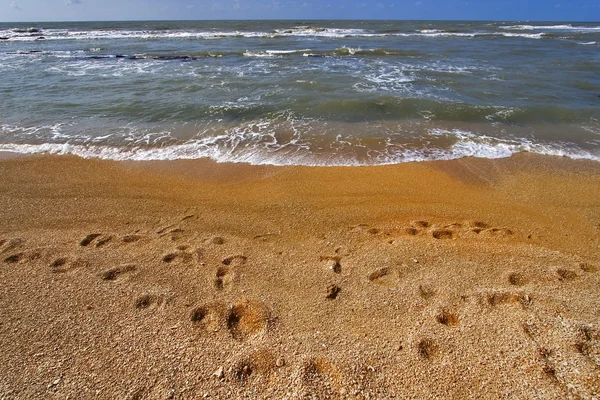 Tracce sulla sabbia . — Foto Stock