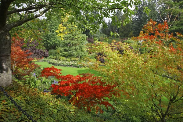 The landscape gardening art — Stockfoto