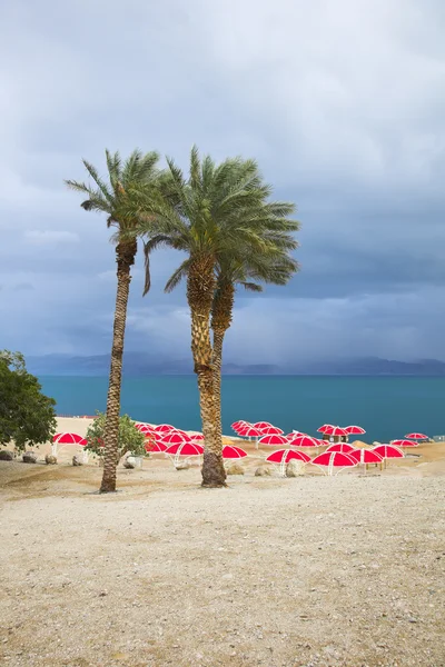 The beach of the Dead Sea in thunder-storm — Stock Photo, Image