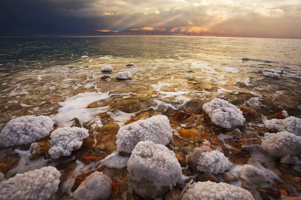 stock image The coastal stones and salty adjournment