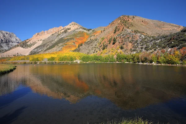 Helle Herbstfarben Landschaft — Stockfoto