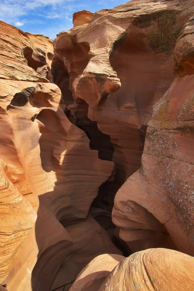 Antelopi del canyon — Foto Stock