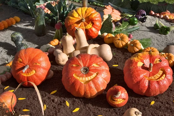 Carnival of pumpkins — Stock Photo, Image