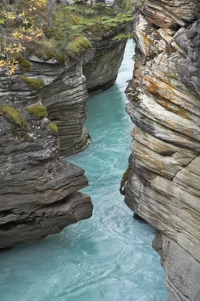 Die untere Kaskade eines Wasserfalls — Stockfoto