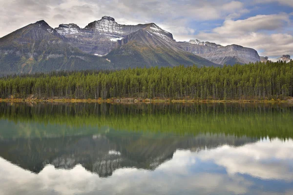 Hora, dřevo a jezero. — Stock fotografie