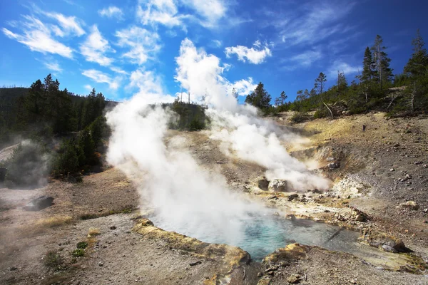 Géothermie en ébullition geyser — Photo