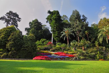 Magnificent park with flower beds clipart