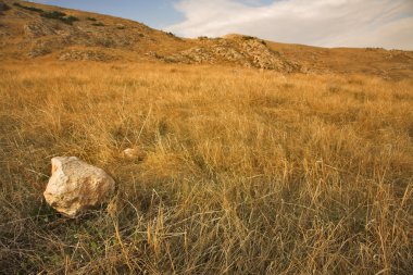 taş.