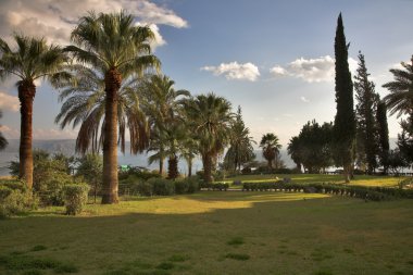 Manastır park.