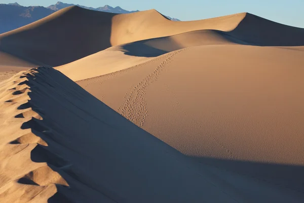 Písečné duny v mesquite plochý — Stock fotografie
