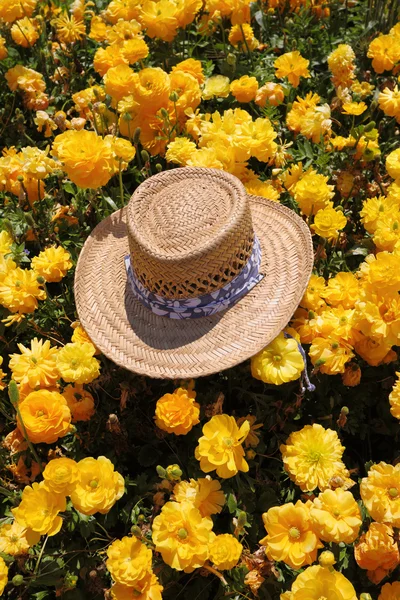 O elegante chapéu de palha no campo — Fotografia de Stock