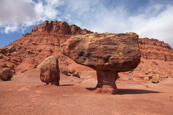 The stone desert — Stock Photo, Image