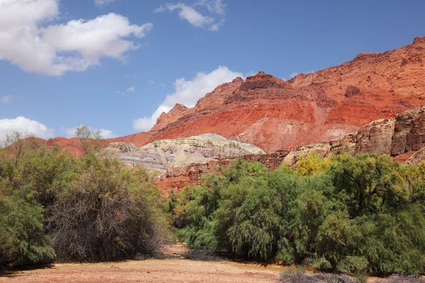 砂漠の赤い岩は — ストック写真
