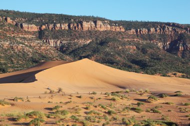 olağanüstü sunrise tarafından aydınlatılmış bir pembe dune