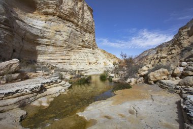 Drying up stream in gorge. clipart