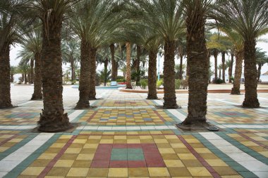 Palm trees on a marble clipart