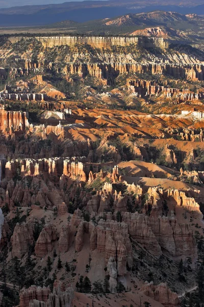 Magical canyon — Stock Photo, Image