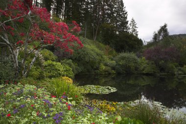 Pond in park clipart