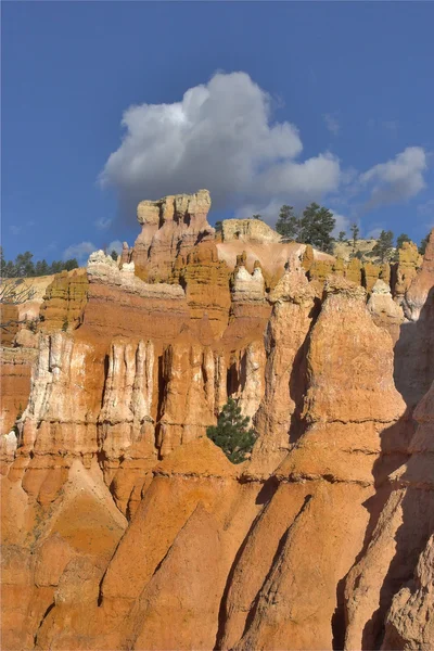 Bir kanyon duvarı — Stok fotoğraf