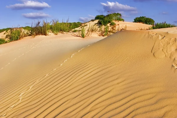 Песчаные волны . — стоковое фото