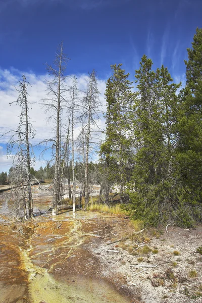 Yellowstone Park maden suları — Stok fotoğraf