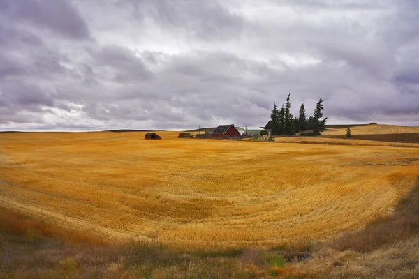 La ferme dans les champs du Montana — Photo