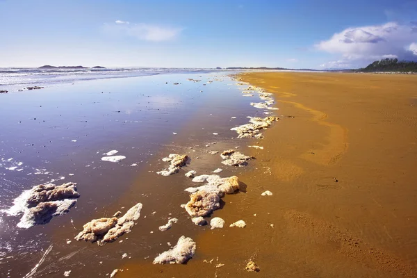 Piaszczysta plaża i resztek Morze piany — Zdjęcie stockowe