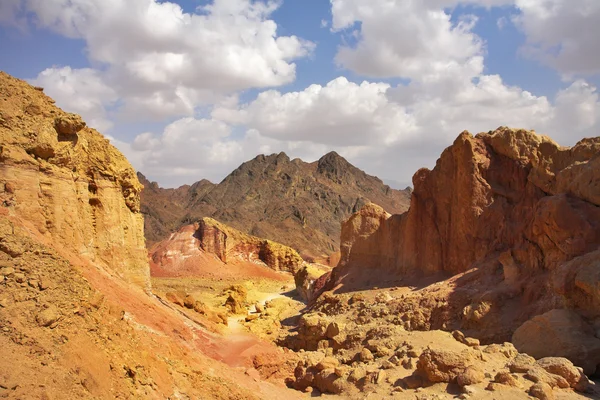 Route vers le désert de pierre — Photo