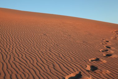 Deep marks on the crest of the dune clipart