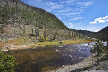 Yüzeysel gibbons Nehri