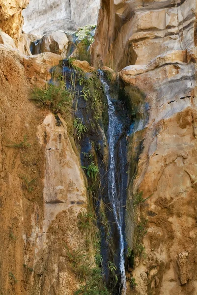 瀑布的架稀薄的喷气机 — 图库照片