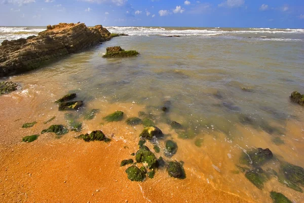 Камни приобрели водоросли — стоковое фото
