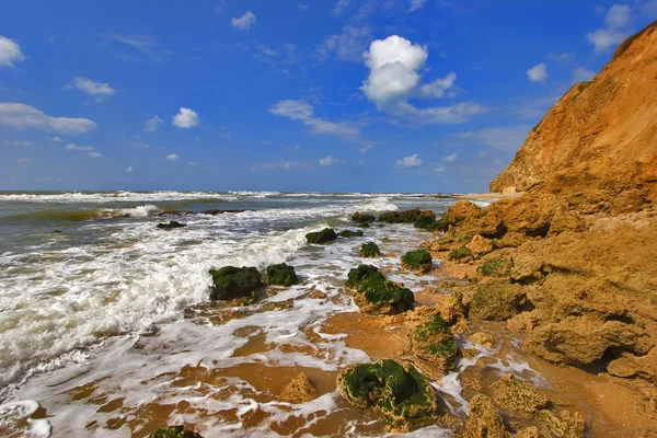 Kameny pokryté mořskými řasami — Stock fotografie