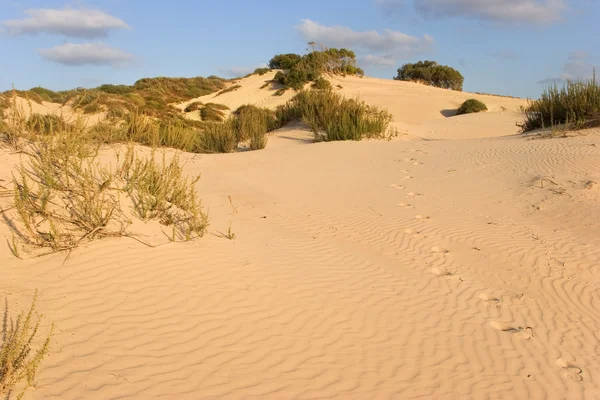 Облака над песчаными дюнами . — стоковое фото