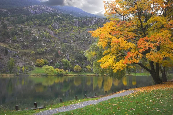 Осень на озере — стоковое фото